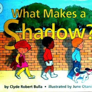 What Makes a Shadow?