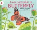 From Caterpillar to Butterfly