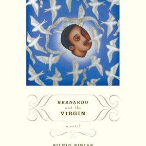 Bernardo and the Virgin