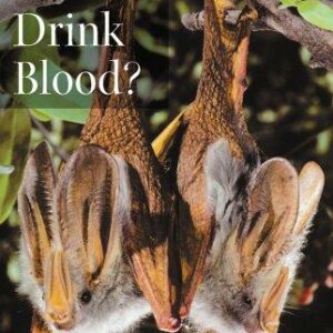 Do Bats Drink Blood?