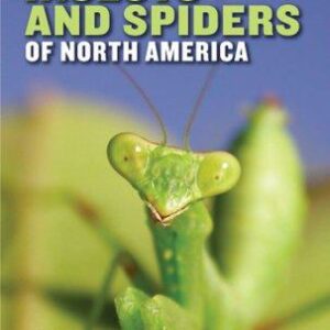 National Wildlife Federation Field Guide to Insects and Spiders & Related Species of North America
