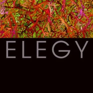 Elegy