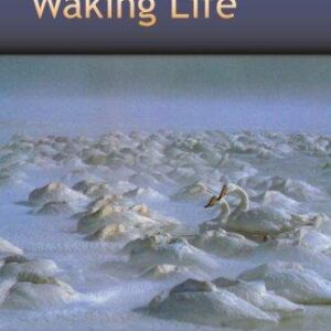 The Bardo of Waking Life