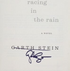 The Art of Racing in the Rain