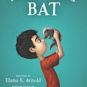 A Boy Called Bat