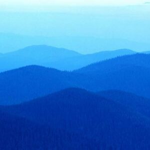 Social Studies, Living Constitution, Student Edition