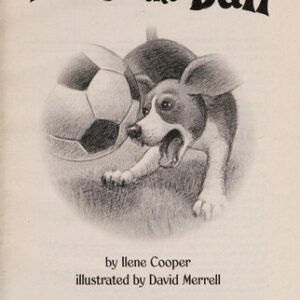 Absolutely Lucy #4: Lucy on the Ball