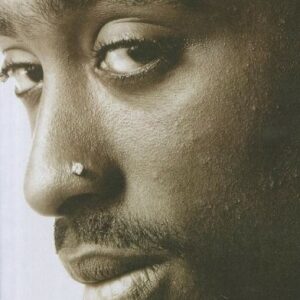 The Rose That Grew From Concrete