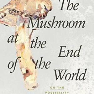 The Mushroom at the End of the World