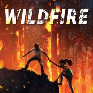 Wildfire