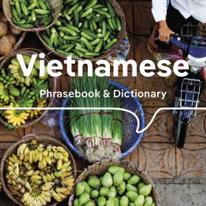 Lonely Planet Vietnamese Phrasebook & Dictionary book cover