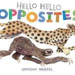 Hello Hello Opposites book cover