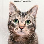 Rescue Cats book cover