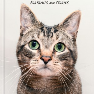 Rescue Cats book cover