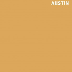 Wallpaper* City Guide Austin book cover