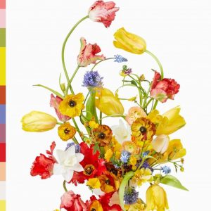 Flower Color Theory book cover