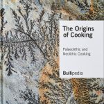 The Origins of Cooking book cover