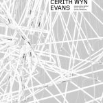 Cerith Wyn Evans book cover