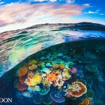 Two Worlds book cover