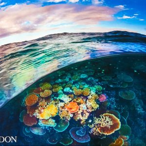 Two Worlds book cover