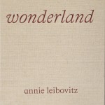 Soft Water Hard Stone book cover