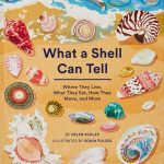 What A Shell Can Tell book cover