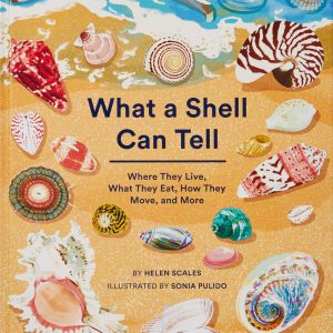 What A Shell Can Tell book cover