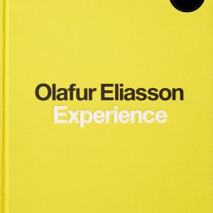 Experience book cover