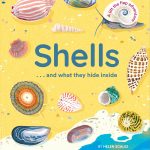 Shells... and what they hide inside book cover