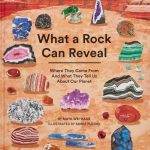 What a Rock Can Reveal book cover