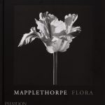 Mapplethorpe Flora book cover