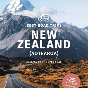 Lonely Planet Best Road Trips New Zealand book cover