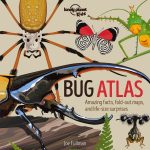 Lonely Planet Kids Bug Atlas book cover