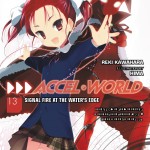 Accel World, Vol. 13 (light novel) book cover