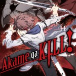 Akame ga KILL!, Vol. 14 book cover