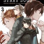Bungo Stray Dogs, Vol. 3 (light novel) book cover
