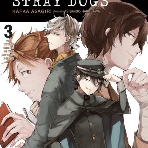 Bungo Stray Dogs, Vol. 3 (light novel) book cover