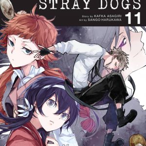 Bungo Stray Dogs, Vol. 11 book cover