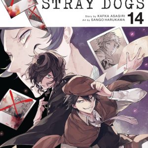 Bungo Stray Dogs, Vol. 14 book cover