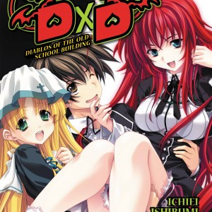 High School DxD, Vol. 1 (light novel) book cover