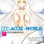 Accel World, Vol. 16 (light novel) book cover