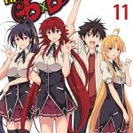 High School DxD, Vol. 11 book cover