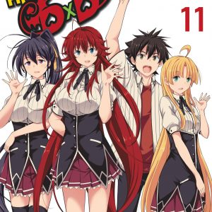 High School DxD, Vol. 11 book cover