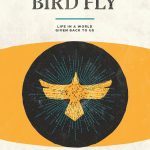 Let the Bird Fly book cover