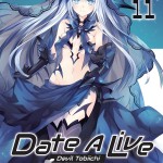 Date A Live, Vol. 11 (light novel) book cover