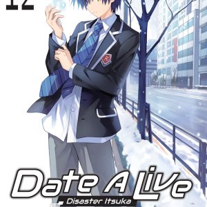Date A Live, Vol. 12 (light novel) book cover