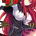 High School DxD, Vol. 12 (light novel) book cover