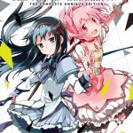 Puella Magi Madoka Magica: The Movie -Rebellion- book cover