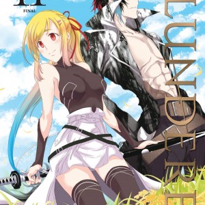 Plunderer, Vol. 11 book cover