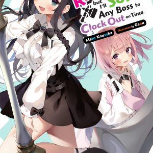 I May Be a Guild Receptionist, but I’ll Solo Any Boss to Clock Out on Time, Vol. 2 (light novel) book cover